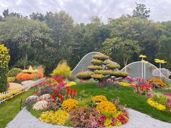 -上海共青森林公园