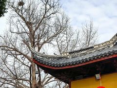 -上海青龙寺