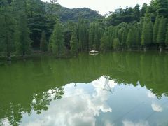 -广州市帽峰山景区