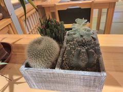 -酒久自助料理(佳兆业店)