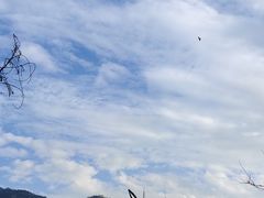 -羚羊峡古栈道森林公园