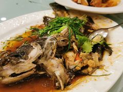 清蒸深海青斑-福满园大酒楼(梅林店)