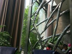 -唐廊烤鸭店(工体店)