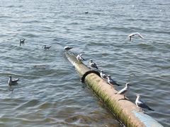 -滇池海埂公园