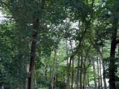 -井之头恩赐公园