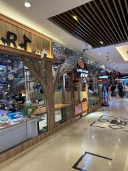 -卡通尼·Safari非洲探索乐园·生日会(金桥国际商业广场店)