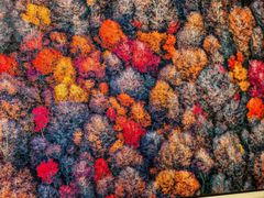 -罗红摄影艺术馆