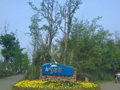 -白鹭湾湿地公园