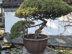 -水绘园