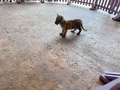 -泉城欧乐堡梦幻世界
