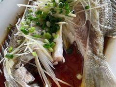 -海鸥岛河景湖大排档