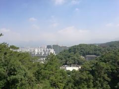 -金鸡山公园