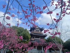 -范蠡湖公园