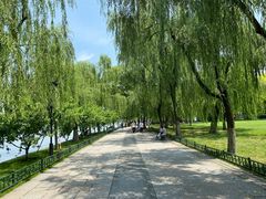 -柳浪闻莺公园