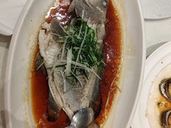 -大东海海鲜酒楼(渔人码头总店)