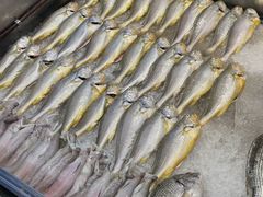 -林淡伯•厦门本地菜•生烫海鲜烧酒配(明发店)