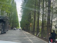 -窦圌山风景区