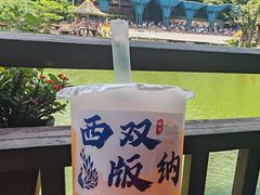 -西双版纳原始森林公园