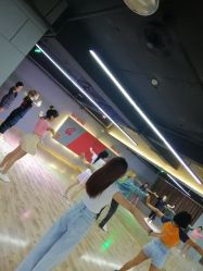 -Cat Dance小野猫舞蹈室