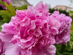 -大钟寺古钟博物馆