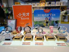 -华强电子世界(深圳二店)