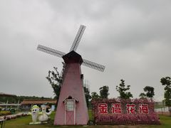 -洪湖湿地生态园