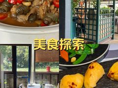 -野蔓果·山野菜(西湖景区·龙井茶田店)