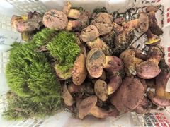-双喜农庄·菌香园(安居家园店)