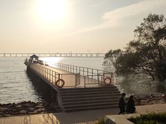 -宝安西湾红树林湿地公园