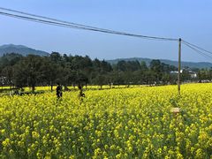 -韶山毛泽东同志故居