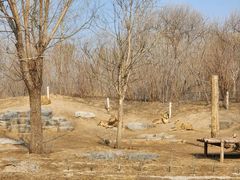 -北京野生动物园