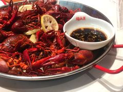 清水龙虾-杨氏青龙虾·羊蝎子(金盛路总店)