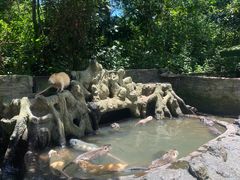 -海南热带野生动植物园