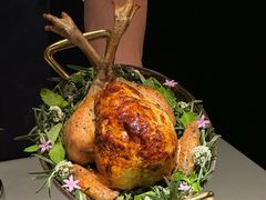 -Oyster Talks 四度蚝法餐厅