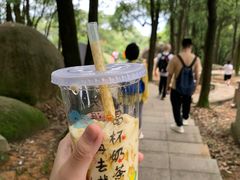 -火炉山森林公园