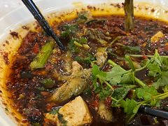 -胖大姐黄辣丁鱼庄(新津店)