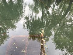 -水磨沟公园