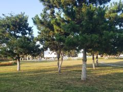 -阳光海岸露营公园