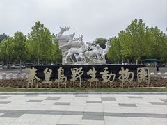 -秦皇岛野生动物园