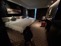 -常州环球恐龙城维景国际大酒店