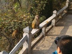 android_upload_pic-云台山风景名胜区