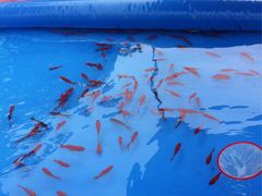 -中百仓储超市(汉川马口店)