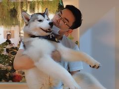 -Husky Go! 哈士奇体验馆·宠物咖啡厅狗咖