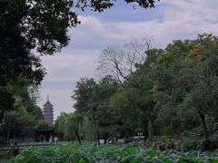 -拙政园
