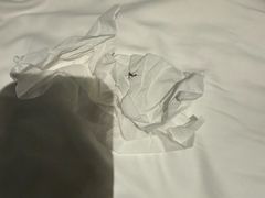 -上海佘山世茂艾美酒店
