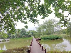 -森波拉奇妙世界