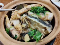 砂锅鲢鱼头-富豪酒家(正大广场店)