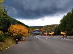 -塞罕坝国家级自然保护区