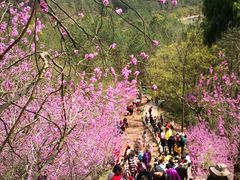 -天台山赤城山景区