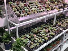 -KKV(深圳宏发大仟里店)